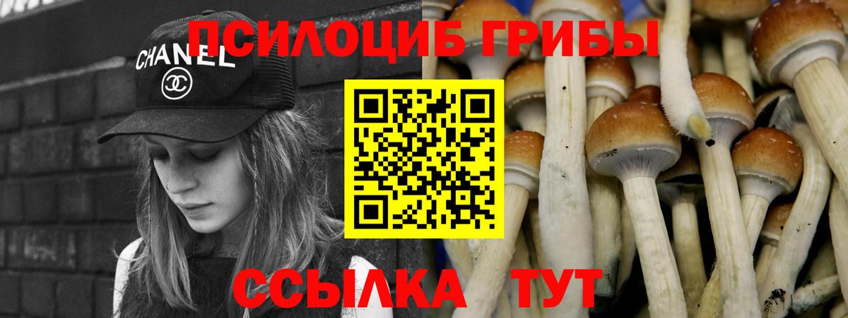 Лысьва  Галлюциногенные грибы Psilocybine cubensis  Вход с VPN 